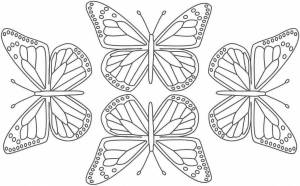Раскраски Бабочки много на одном листе