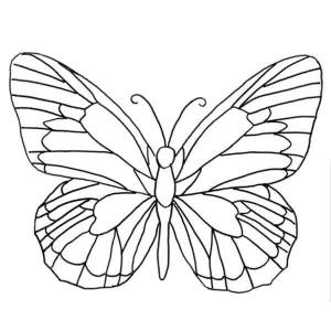 Раскраски Крылья, Раскраска Разукрась крылья бабочки бабочка