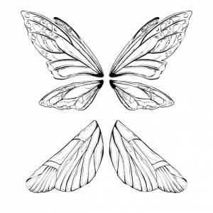 Рисунок двух крыльев бабочки со словом «бабочка» слева
