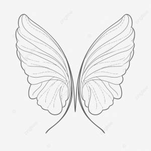рисунок раскраски крыльев бабочки контур эскиз вектор PNG , рисунок бабочки, рисунок крыла, рисунок кольца PNG картинки и пнг рисунок для й загрузки
