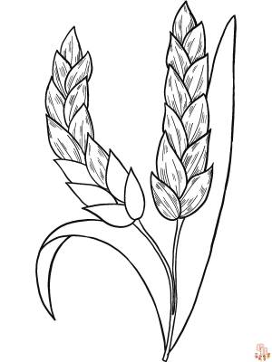 Раскраски пшеница для печати и  для детей