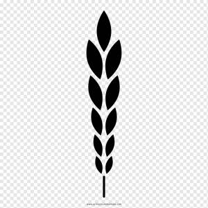 Рисунок Книжка-раскраска Пшеница Норманнская деревня Монтессори-школа, пшеница, ребенок, еда, лист png