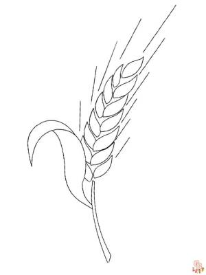 Раскраски пшеница для печати и  для детей