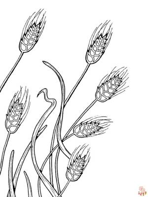 Раскраски пшеница для печати и  для детей