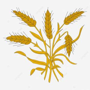 Мультяшный рисованной урожай пшеницы пшеницы PNG , пшеница, Уборка урожая, Ручной росписью PNG рисунок для й загрузки