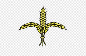 Ухо Рисунок овсяного, мультяшная пшеница, лист, люди, овес png