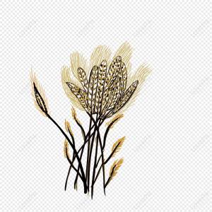 Мультяшный креативный рисунок пшеницы изображение_Фото номер 401124276_PSD Формат изображения_ru