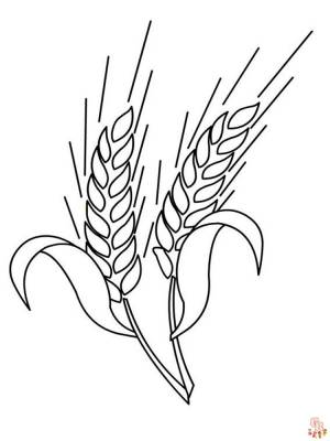 Раскраски пшеница для печати и  для детей