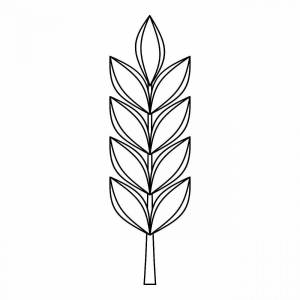 Раскраски Колосок пшеницы для детей