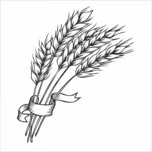 Осенние колосья