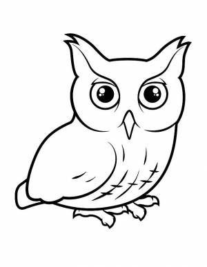 Owl Coloring Page, FREE Coloring Page Template Printing Printable OWL Coloring Pages for Kids, OWL