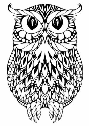 Раскраски Раскраска Сова с узорчиками на перьях птицы Сложный дизайн
