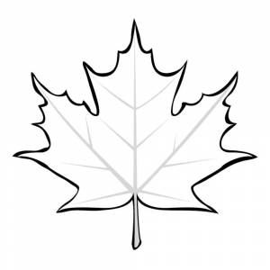 Раскраска Кленовый лист
