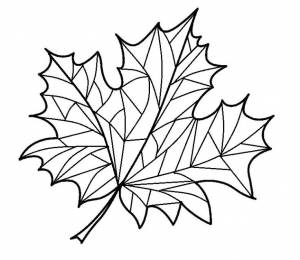 Кленовый лист раскраска
