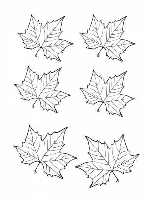 Раскраска Кленовый лист  листе  онлайн