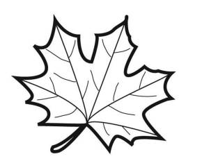 Лист клена раскраска