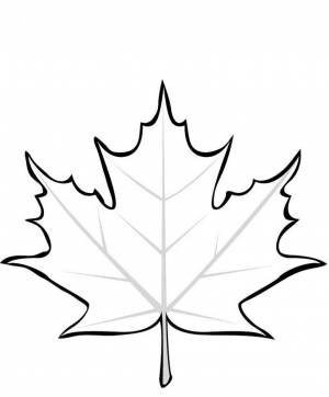 Осенний листок клена рисунок
