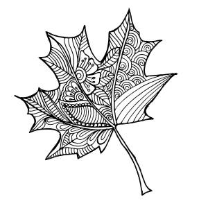 Рисунок красивый кленовый лист