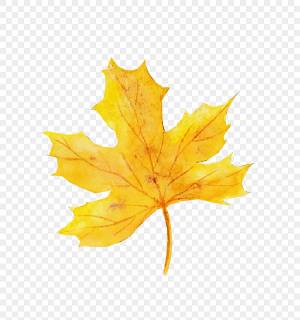 Рисованной Осень и зима Листья деревьев Дерево лист PNG , опавшие листья, жёлтый лист, свежий кленовый лист PNG картинки и пнг PSD рисунок для й загрузки