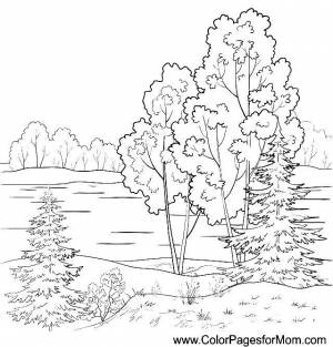 Раскраски Раскраска Деревья у реки Природа, Сайт раскрасок