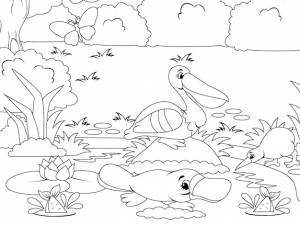 Берег реки с животными рыбами и водными животными природа леса векторная книжка-раскраска