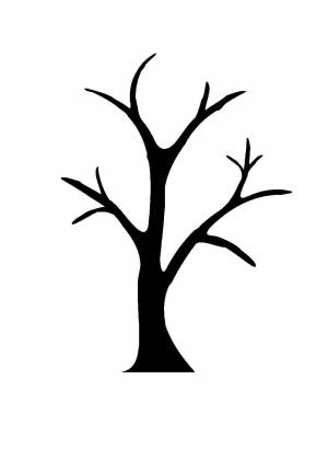 Трафареты и силуэты деревьев