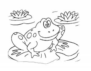 Раскраски Раскраска Лягушка в пруду лягушка детские