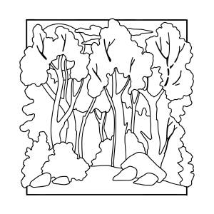 Осенний лес