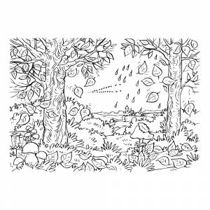 Раскраска Осень в лесу