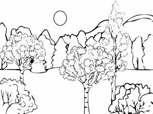 Осенний лес раскраска для детей