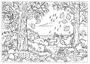 Раскраски Раскраска Осенний дождь осень, Download print coloring page
