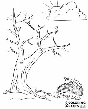 Раскраска осенний лес