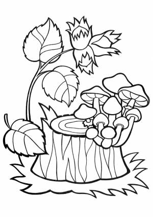 Раскраска Лесной натюрморт