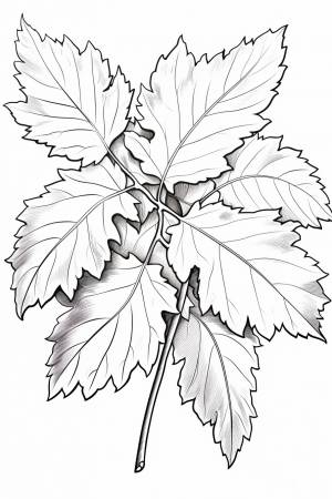 Раскраска осень для детей 6 лет