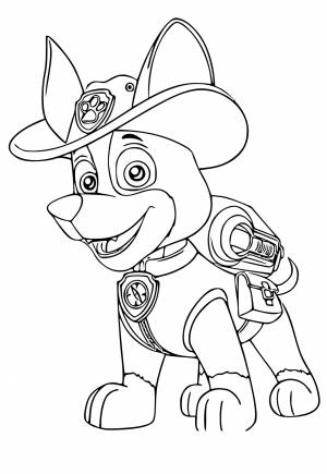 Раскраска Щенячий Патруль Ковбой