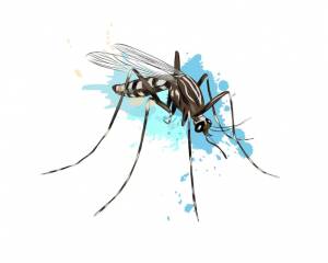 Комар из всплеска акварели, цветной рисунок, реалистично