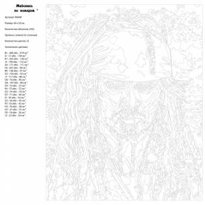 RA048 Джек Воробей Раскраска картина по номерам на холсте 40х50 см недорого