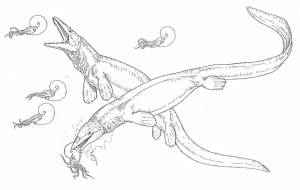 DataLife Engine > Версия для печати > Раскраски морские динозавры