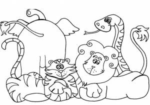 Раскраски Раскраска Животные африки раскраски, Download print coloring page