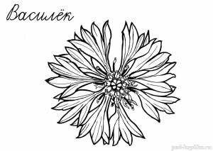 Раскраска для детей