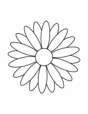 Лепестки ромашки