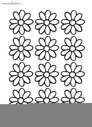 Раскраска Ромашка