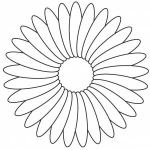 Раскраски Раскраска Цветок ромашка
