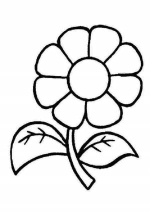 Раскраски, ромашка большая