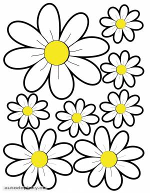 Трафарет ромашка