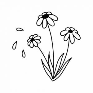 Ромашка векторная иллюстрация каракулей книжка-раскраска с растением дейзи красивый цветок