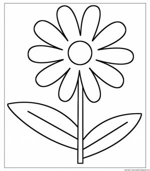 Семицветик раскраска