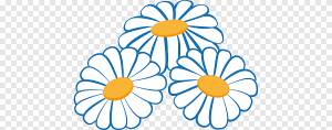 Рисунок ромашки Обыкновенная ромашка, ромашка, белый, фотография png