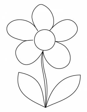 Ромашка 5 лепестков