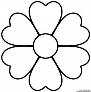 Раскраска цветок ромашка
